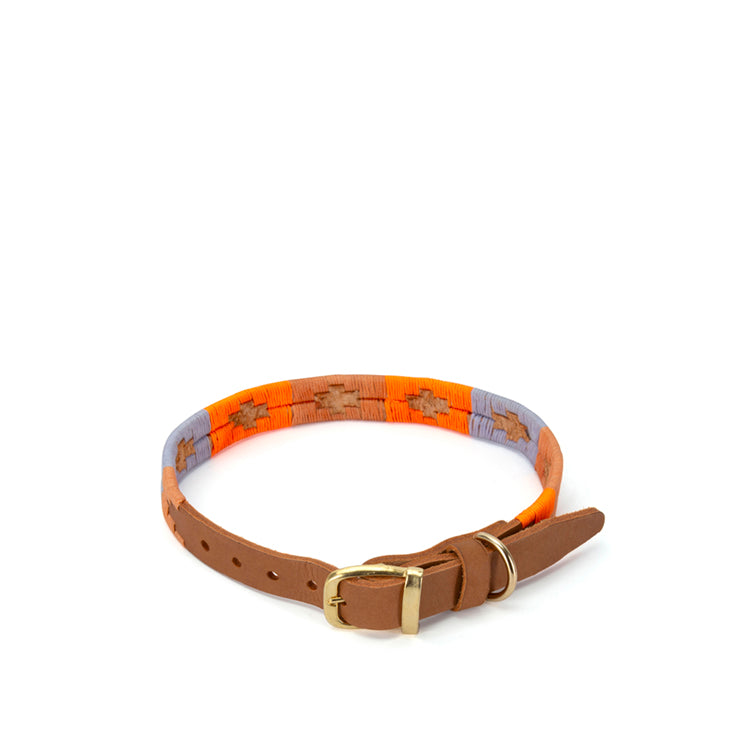 Bomba Purple dog collar- Handmade in Cape Town