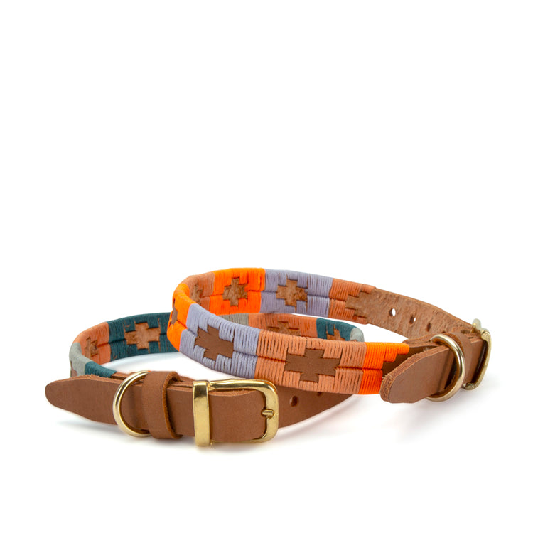 bomba dog collars - Handmade in Cape Town